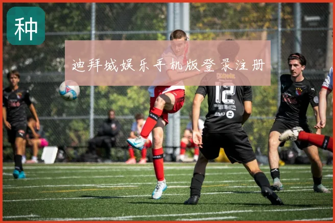 迪拜城娱乐手机版登录注册